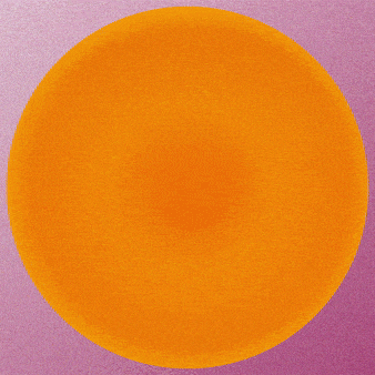 Braiding Interdependent Redarios